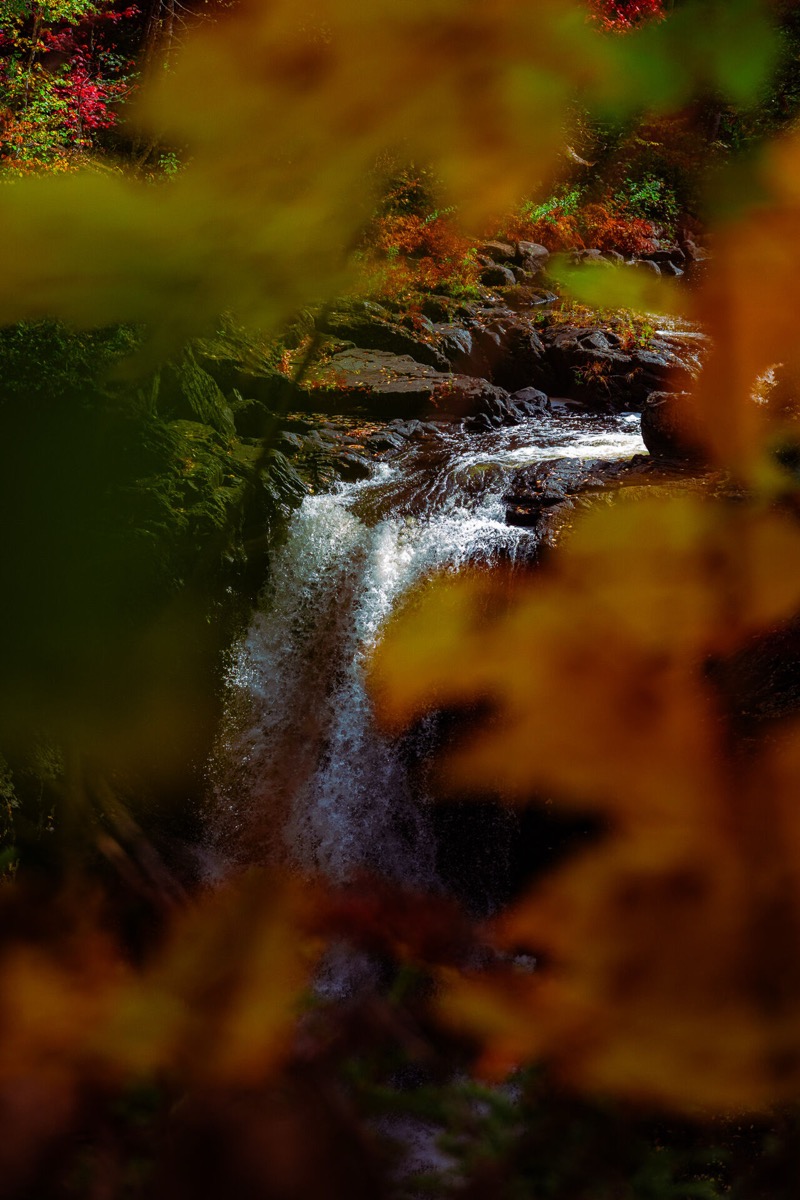 Autumn Cascade